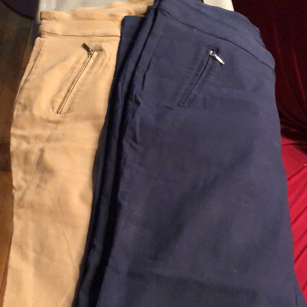Ashley Stewart pants